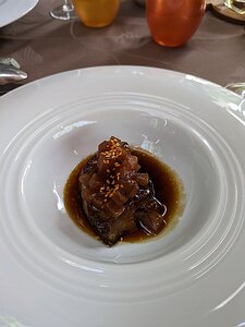 20240512_PXL105746629_Pixel7a-JEB foie gras, daikon (Japanese radish) and sauce