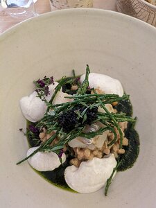 20240425_PXL111850294_Pixel7a-JEB Le Dos de cabillaud nacré, pois chiche et haricot coco, Jeunes pousses d’épinard & parfums de menthe, Salicorne (samphire)