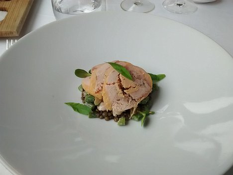 20160512_DSC_0225_MotoG-JEB starter: La pintade et le foie gras en ballotine, salade de haricots verts aux pétales d'amande & vinaigrette de lentilles aux arômes des sous-bois