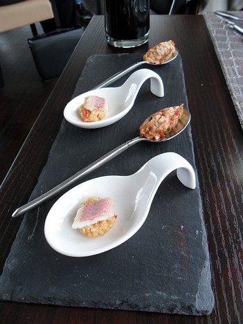 20121015_SAM_0871_ES71 Amuse bouche - veal and tomato tartare and smoked trout and cereal