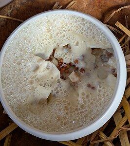 20260305_PXL120611479_Pixel10-JEB