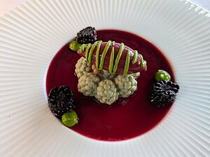 20250724_PXL183228223_Pixel7a-JEB Blackberries | ricotta | lemon balm