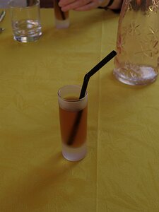 20090805_5970_E510 Mint tea