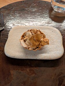 20241109_PXL130016289_Pixel7a-JEB Seasonal Amuse Bouche - porcini mushrooms, artichoke and truffle tart (with Lugny crémant)