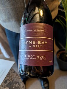 20241024_120751240.MP_PXL7a-JEB