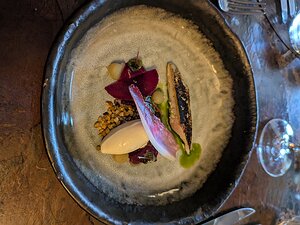 20241024_121151500.MP_PXL7a-JEB Blowtorched Mackerel, Beetroot, Horseradish, Douglas Fir
