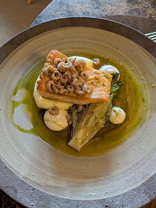 20241024_124651294_PXL7a-JEB Salmon, Potted Brown Shrimps, Braised Lettuce, Dill