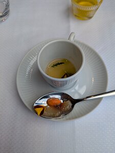 20250614_PXL110845700.MP_Pixel7a-JEB amuse bouche: tomato infusion with fish