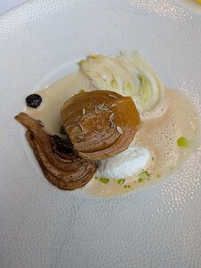 20250614_PXL112024328.MP_Pixel7a-JEB Entrée végétale: smoked fennel, fennel, garlic cream, fermented garlic