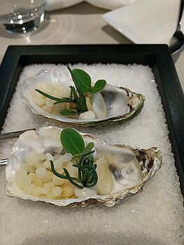 Amsterdam, Netherlands - Senses