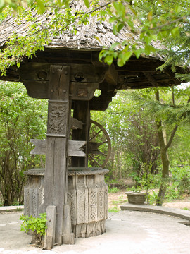 20090424_3131_E510 Suceava castle
