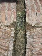 Alcazaba (fortress), Malaga, Spain : Alcazaba (fortress), Malaga, Spain