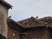 Alcazaba (fortress), Malaga, Spain : Alcazaba (fortress), Malaga, Spain