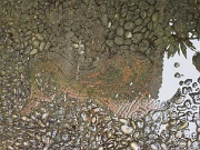 Alcazaba (fortress), Malaga, Spain : Alcazaba (fortress), Malaga, Spain