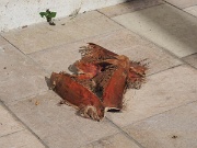 Malaga, outside Museo de Malaga, Spain : Malaga, outside Museo de Malaga, Spain