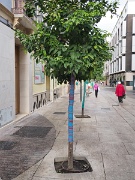 Malaga, Spain : Malaga, Spain