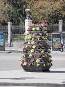 Madrid, Plaza de la Cibeles, Spain : Madrid, Plaza de la Cibeles, Spain