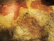 Madrid, Museo Arqueologico Nacional, replica cave paintings Cueva de Altamira, Spain : Madrid, Museo Arqueologico Nacional, replica cave paintings Cueva de Altamira, Spain