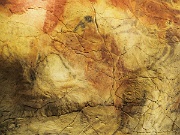 Madrid, Museo Arqueologico Nacional, replica cave paintings Cueva de Altamira, Spain : Madrid, Museo Arqueologico Nacional, replica cave paintings Cueva de Altamira, Spain