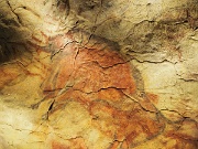 Madrid, Museo Arqueologico Nacional, replica cave paintings Cueva de Altamira, Spain : Madrid, Museo Arqueologico Nacional, replica cave paintings Cueva de Altamira, Spain