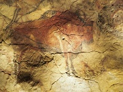 Madrid, Museo Arqueologico Nacional, replica cave paintings Cueva de Altamira, Spain : Madrid, Museo Arqueologico Nacional, replica cave paintings Cueva de Altamira, Spain