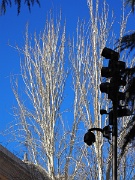 Madrid, Museo Arqueologico Nacional, Spain : Madrid, Museo Arqueologico Nacional, Spain