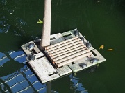 Atocha railway station, Madrid, Spain, turtles : Atocha railway station, Madrid, Spain, turtles