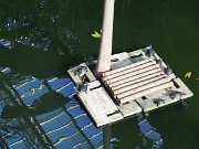 Atocha railway station, Madrid, Spain, turtles : Atocha railway station, Madrid, Spain, turtles