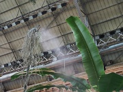 Atocha railway station, Madrid, Spain : Atocha railway station, Madrid, Spain