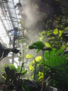 Atocha railway station, Madrid, Spain : Atocha railway station, Madrid, Spain