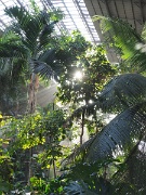 Atocha railway station, Madrid, Spain : Atocha railway station, Madrid, Spain