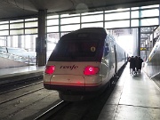 Atocha railway station, Madrid, Spain : Atocha railway station, Madrid, Spain