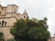 Cathedral, Malaga, Spain : Cathedral, Malaga, Spain