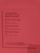 Malaga, Museo Ruso, Russian Art Museum The Collection of St Petersburg, Spain : Malaga, Museo Ruso, Russian Art Museum The Collection of St Petersburg, Spain