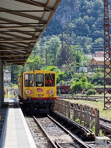 20240919_X9192600_EM1II_DxO-DP8-real