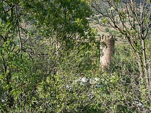 20240919_X9192619_EM1II_DxO-DP8-real