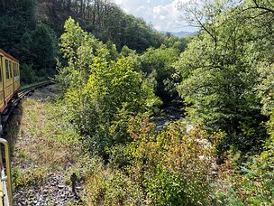 20240919_X9192622_EM1II_DxO-DP8-real