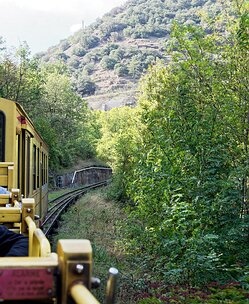 20240919_X9192624_EM1II_DxO-DP8-real