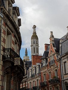 20240912_X9121644_EM1II_DxO-DP8-real