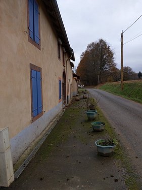 20211115_PXL121406615_Pixel3a-JEB_Pixel3a-JEB